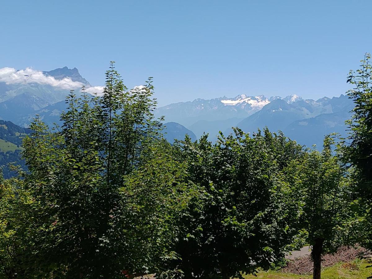 Studio Au Calme, Vue Imprenable Sur La Vallee Leysin Kültér fotó