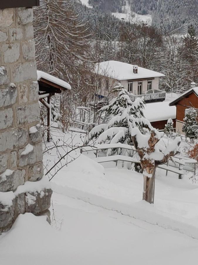 Studio Au Calme, Vue Imprenable Sur La Vallee Leysin Kültér fotó