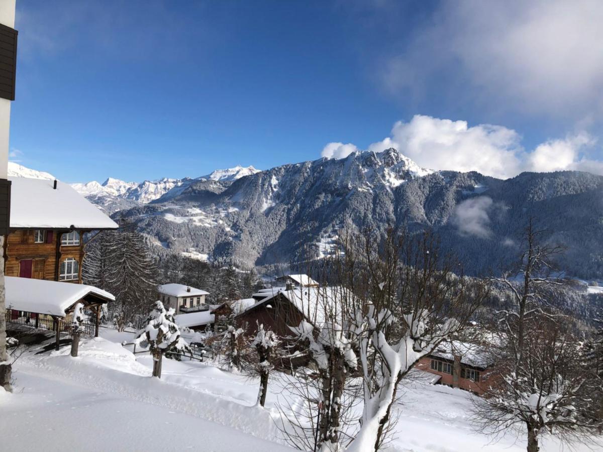 Studio Au Calme, Vue Imprenable Sur La Vallee Leysin Kültér fotó