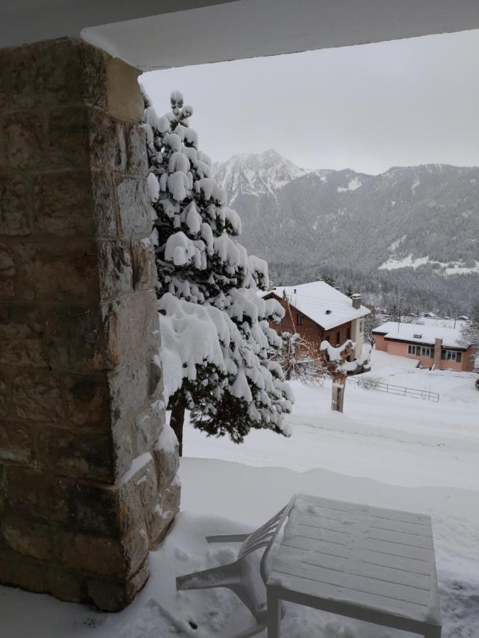 Studio Au Calme, Vue Imprenable Sur La Vallee Leysin Kültér fotó